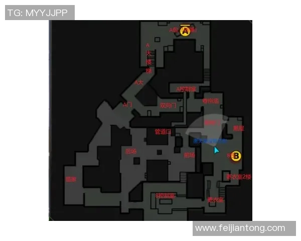 重庆网球队阵地战打法深度解析与战术优势剖析