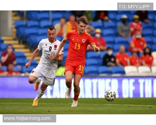 广州极限运动队灵活性研究与发展趋势分析探讨