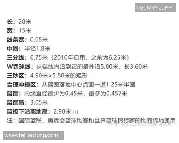 独家解析西安排球队的团队协作与其他球队的对比分析 独家解析西安排球队的团队协作与其他球队的对比分析